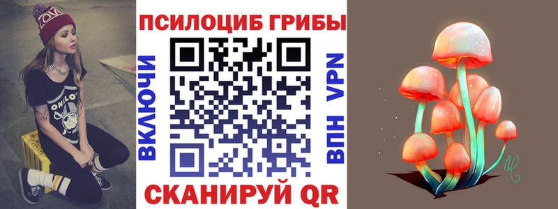 где купить гидра вход Галлюциногенные грибы GOLDEN TEACHER Кострома
