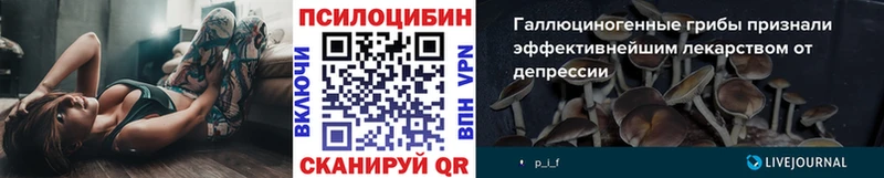 Галлюциногенные грибы прущие грибы Кострома